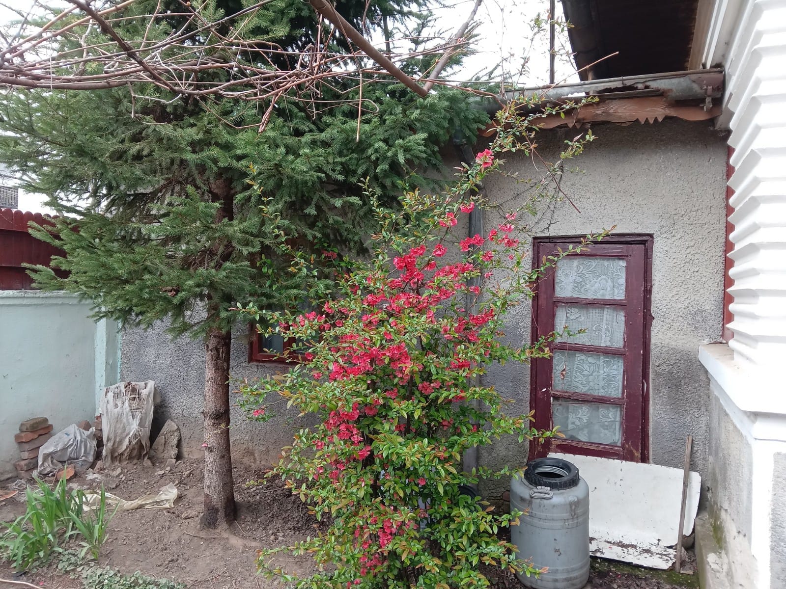 IMG-20230401-WA0021