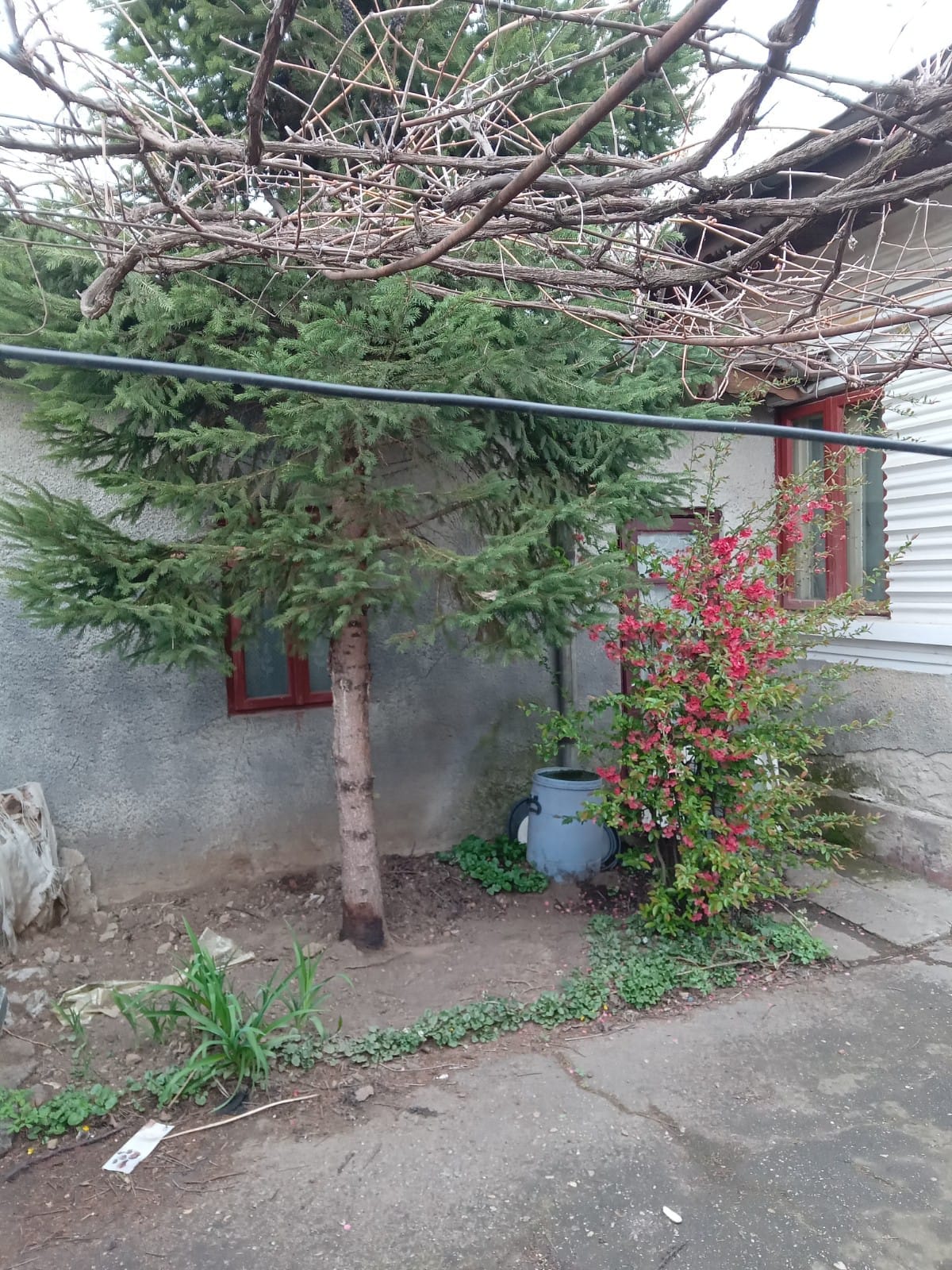 IMG-20230401-WA0023