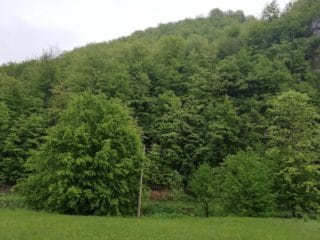 IMG_20190516_193124