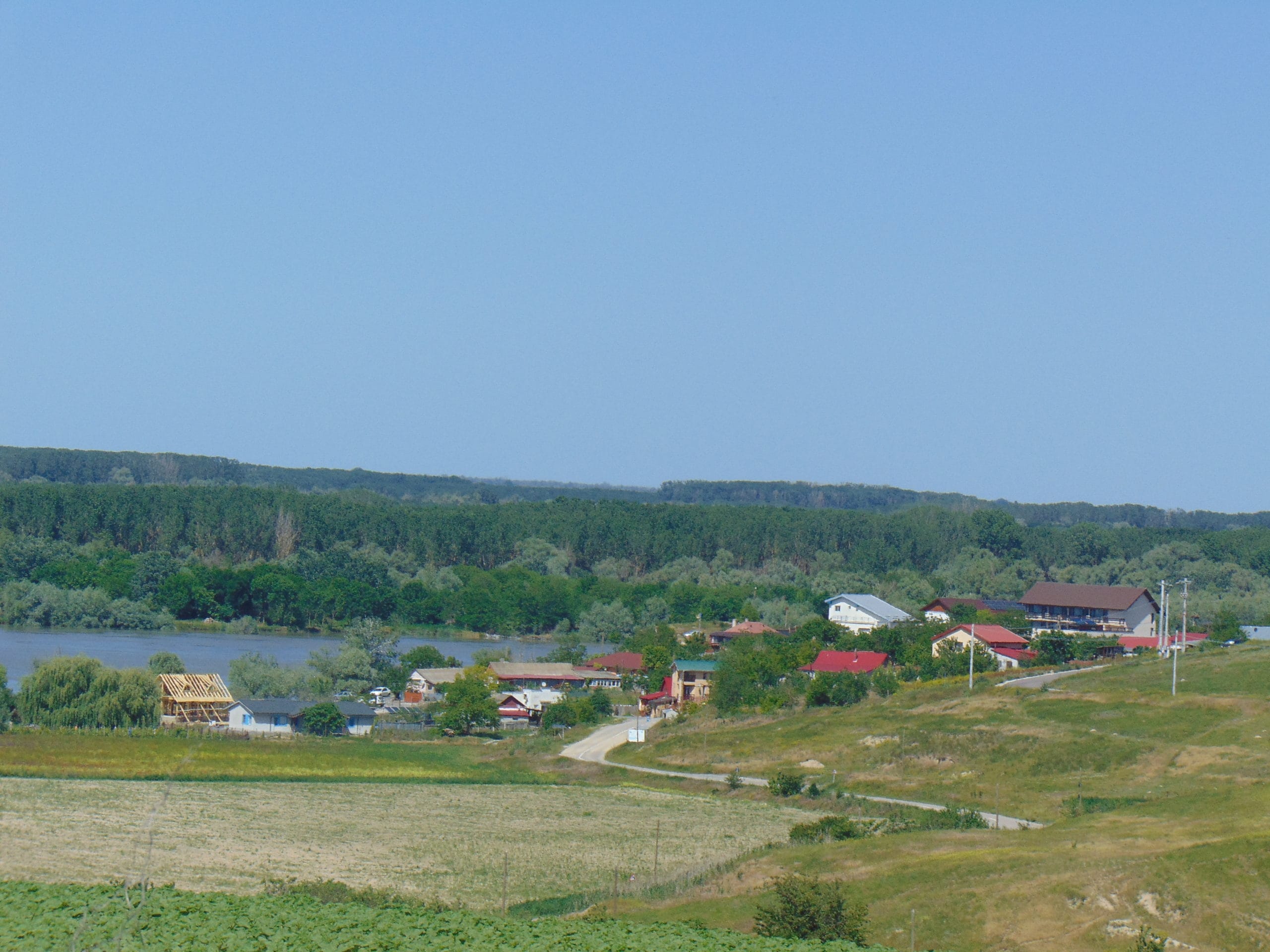 DSC00216