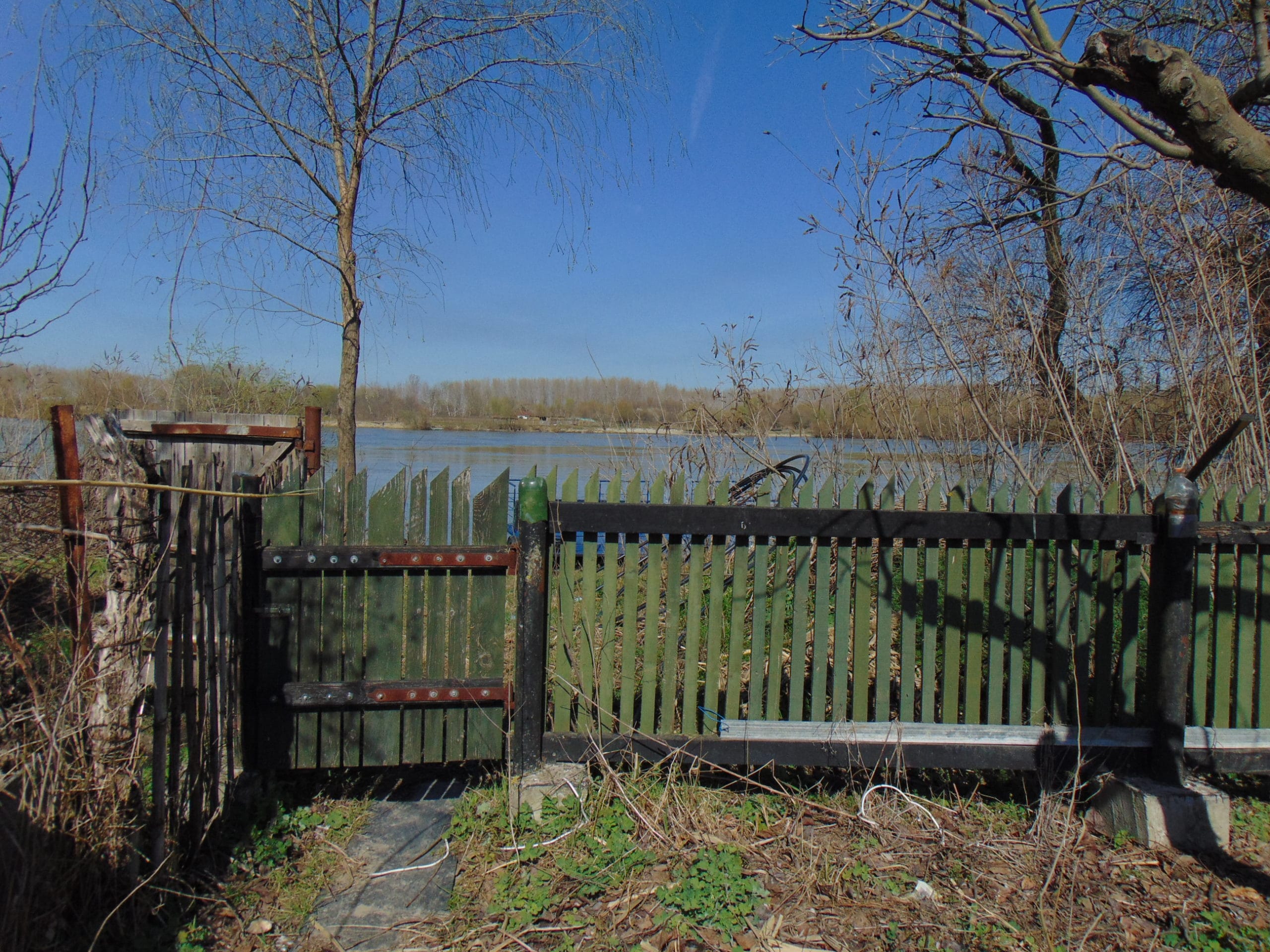 DSC06192