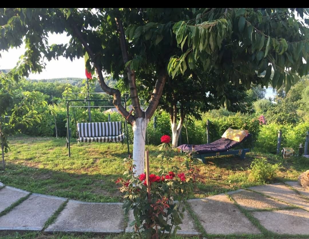 Gallery_1738757303051