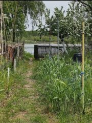 Gallery_1738757373489-1