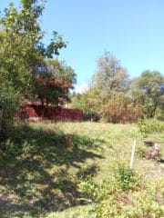 IMG-20231105-WA0003