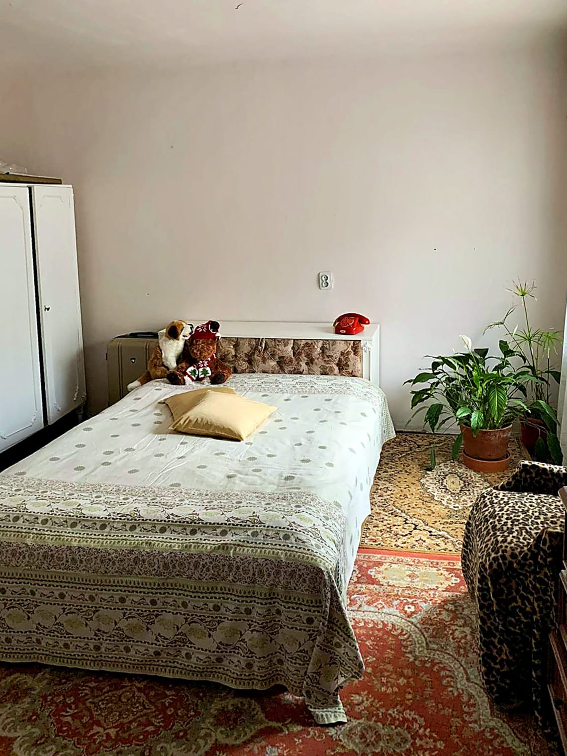 Picture-11