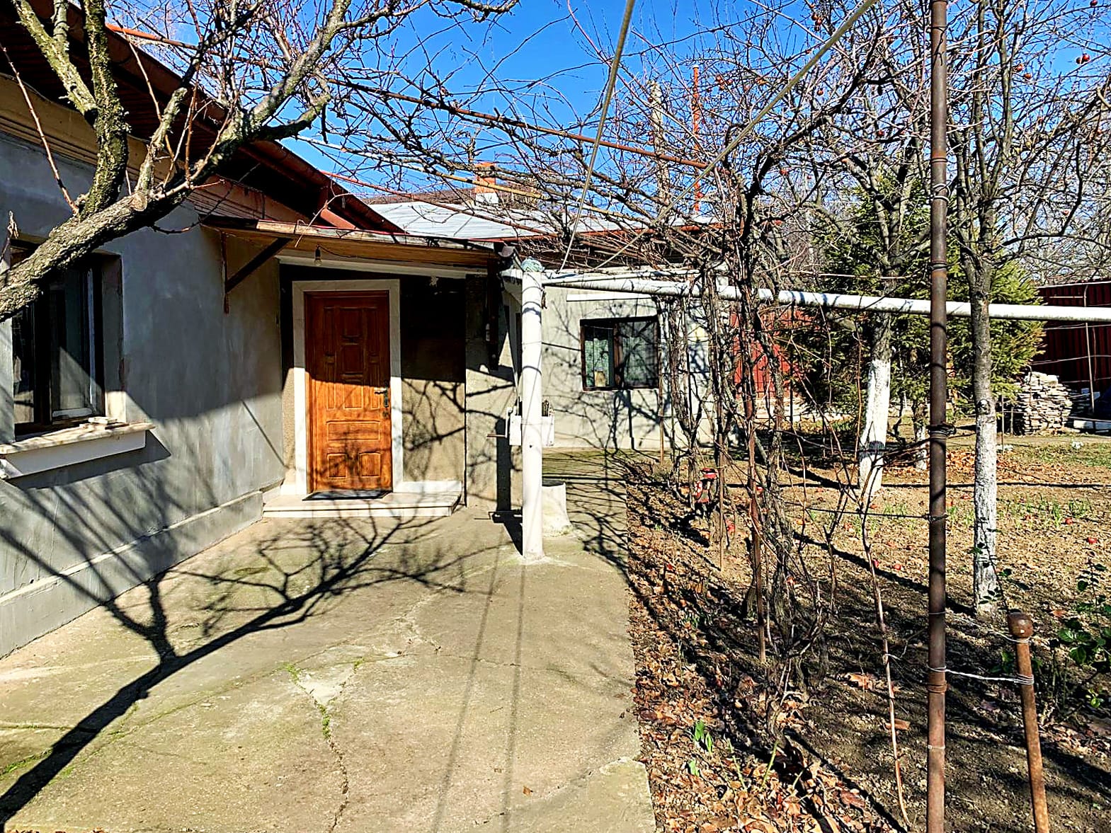 Picture-2