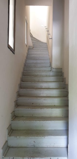 1000041358
