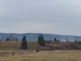 IMG-20231214-WA0078