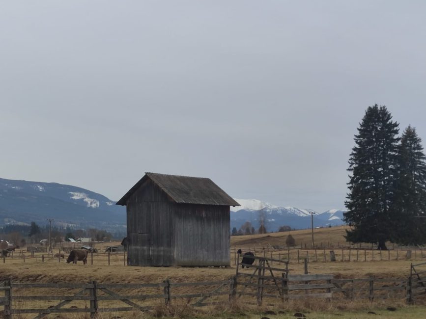 IMG-20231214-WA0082