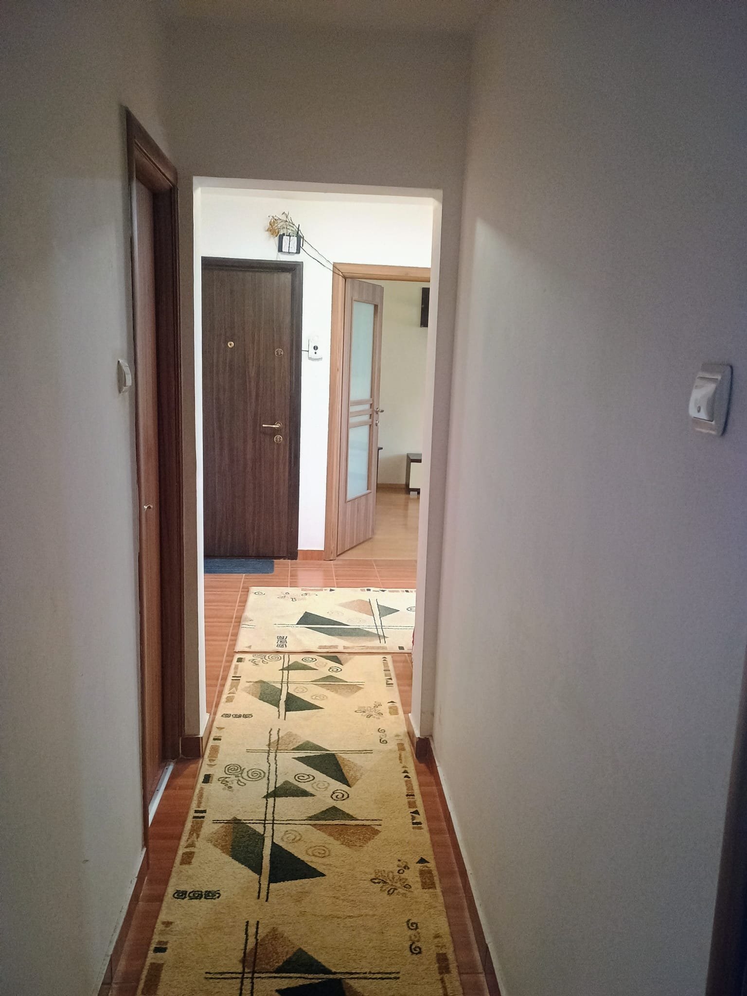 IMG-20250305-WA0013