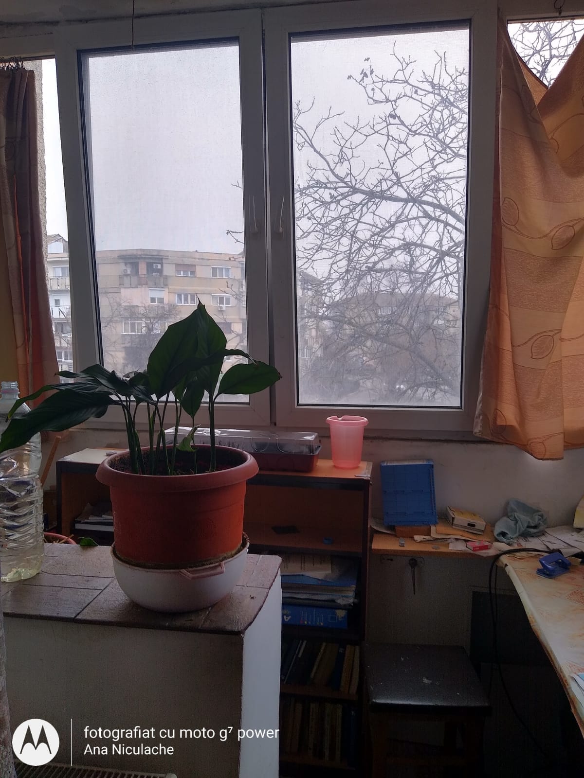 IMG-20250306-WA0008