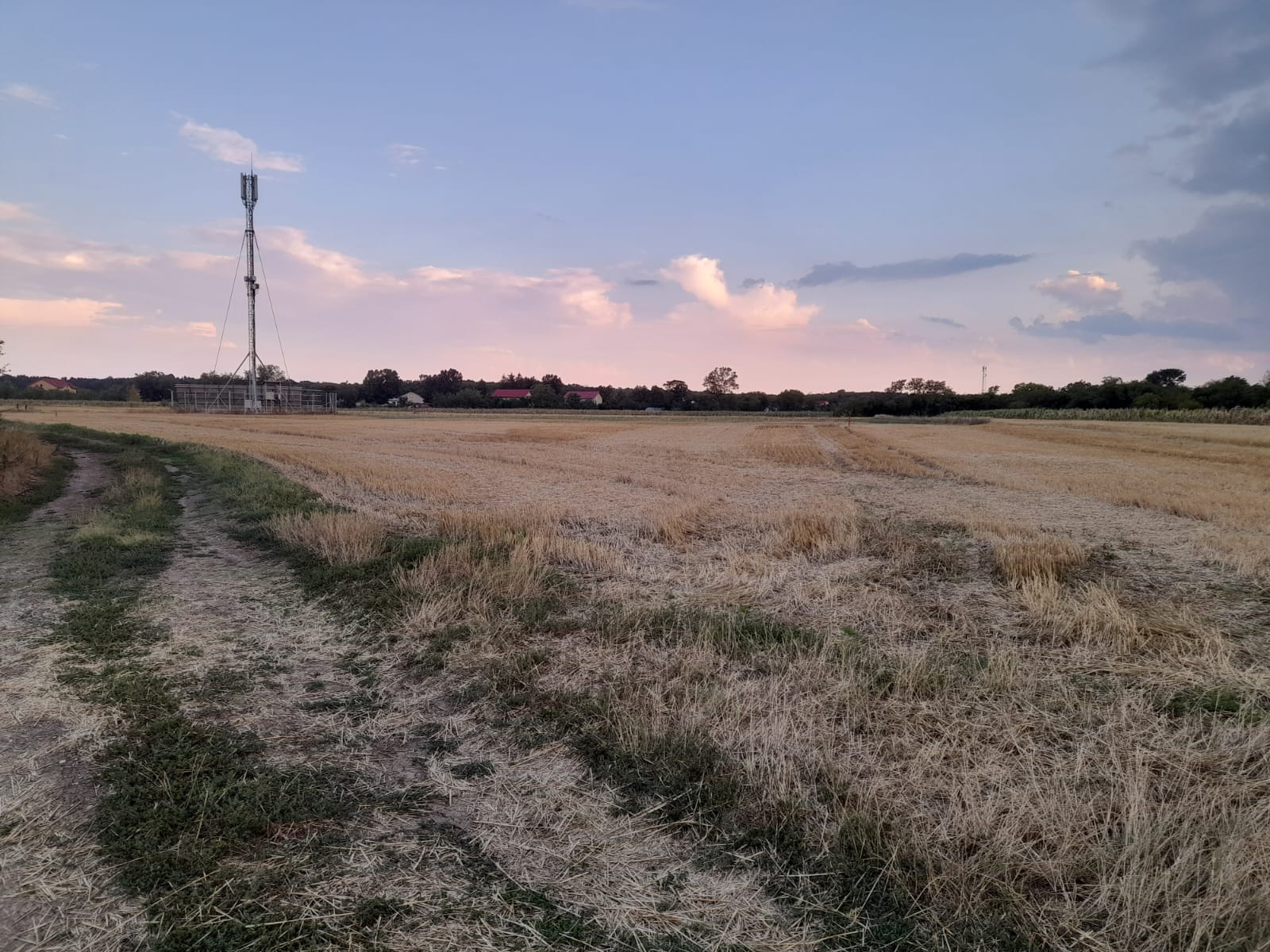 PHOTO-2024-07-22-20-34-26
