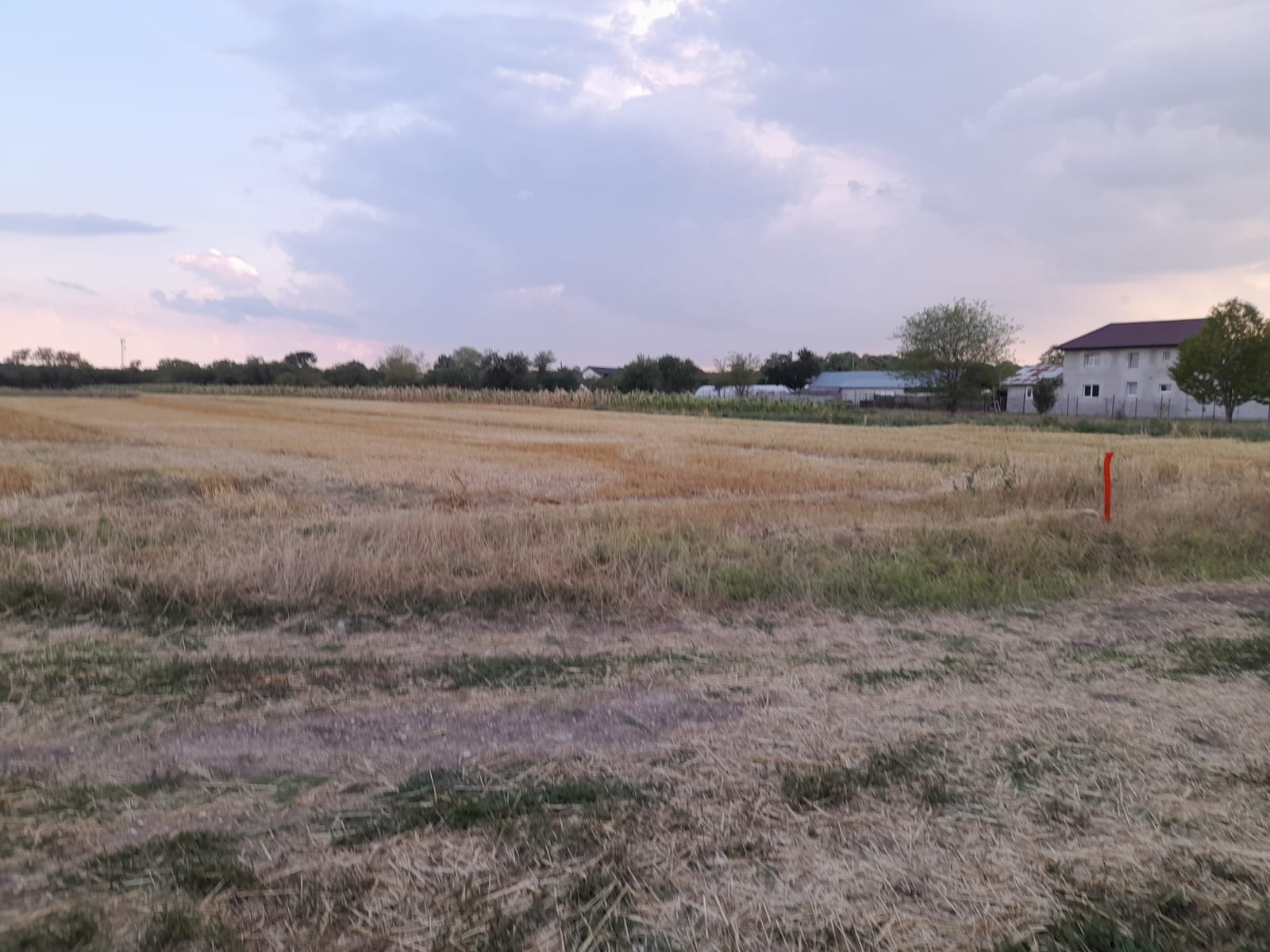 PHOTO-2024-07-22-20-34-2710