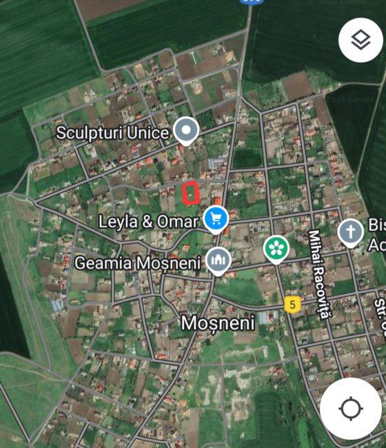 1000037434