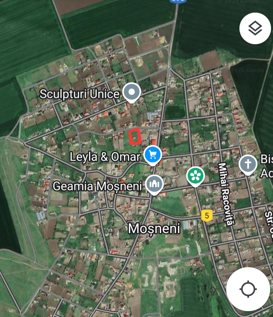 1000037434