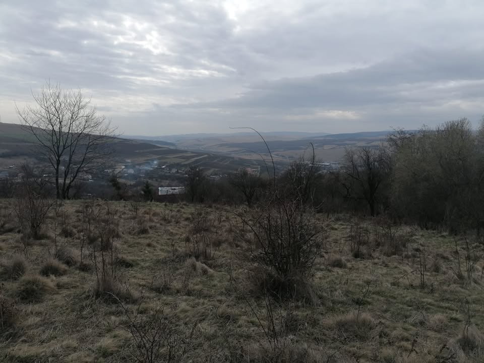 poza-panorama