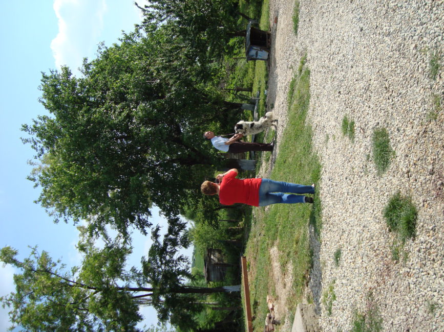 DSC03160