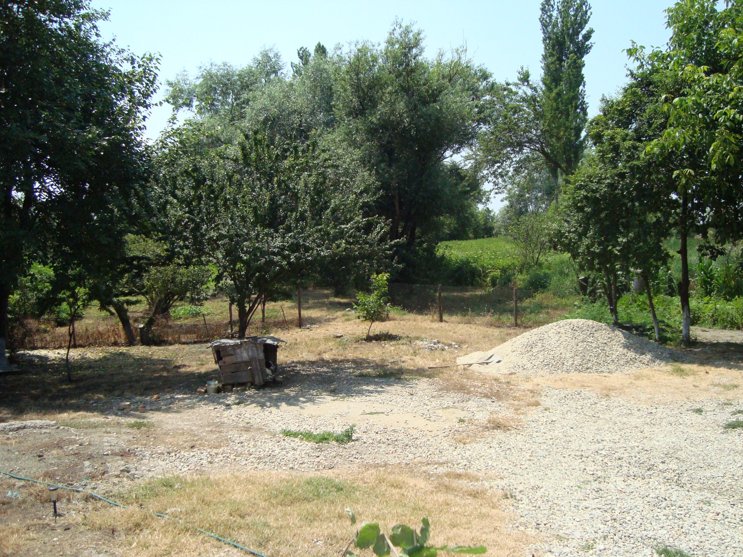 DSC03263