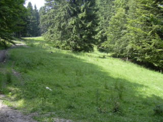 DSCN0004