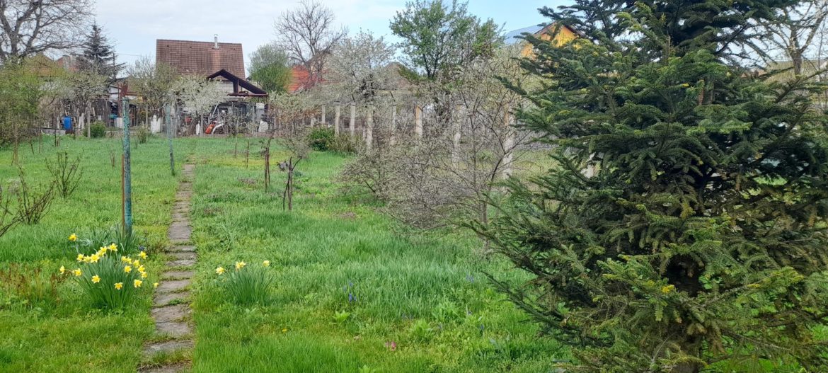 Gradina-1
