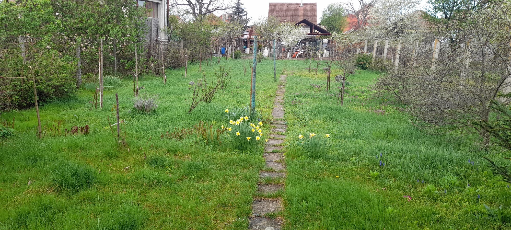 Gradina-2