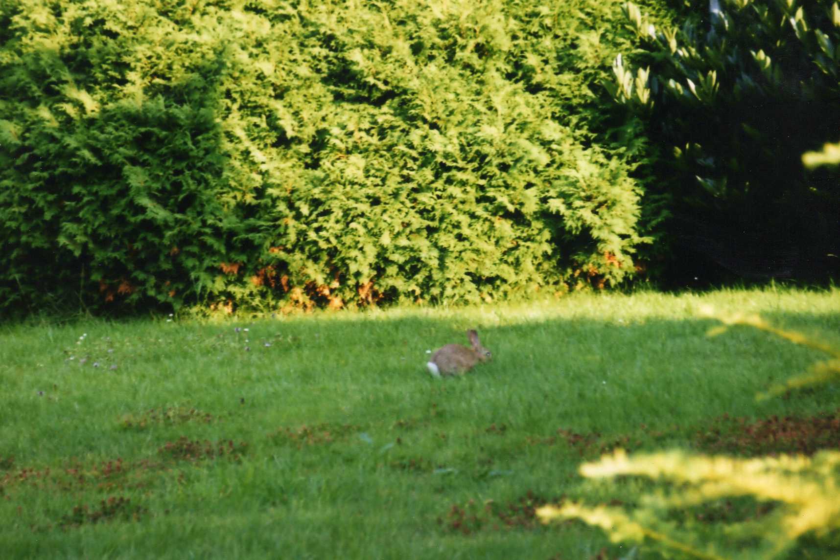 img049