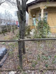 00029627-a4a1-4da4-a6aa-ea52837b14a0