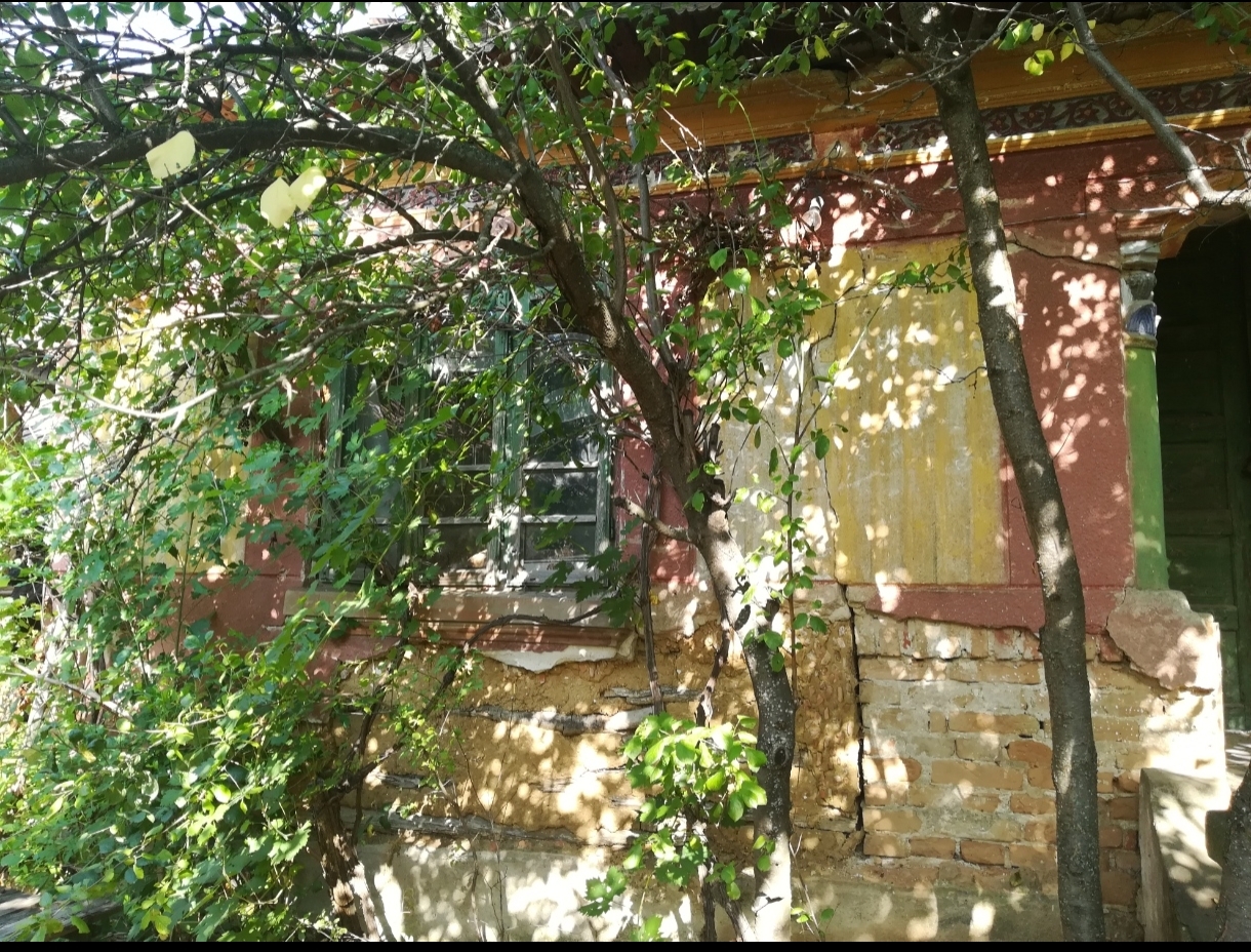1000036293