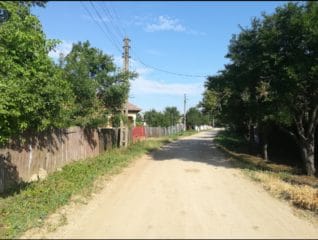 1000036298