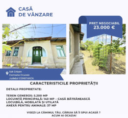 casa-chirpici-sat-risan-constanta