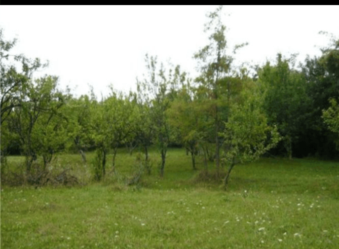 Screenshot_20241022-090251