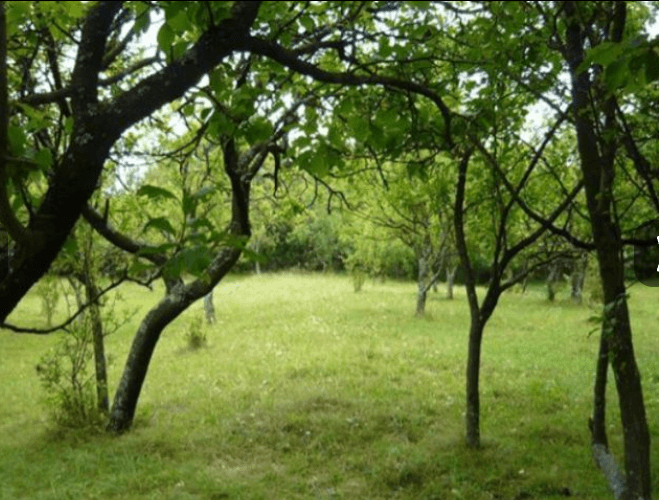 Screenshot_20241022-090258