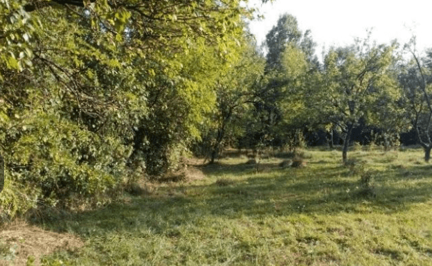 Screenshot_20241022-090308