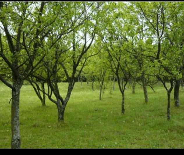 Screenshot_20241022-090315