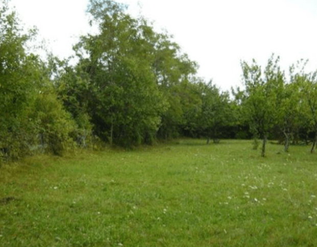 Screenshot_20241022-090321