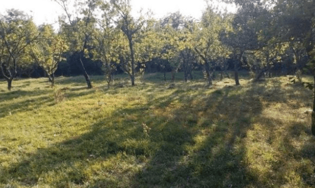 Screenshot_20241022-090326