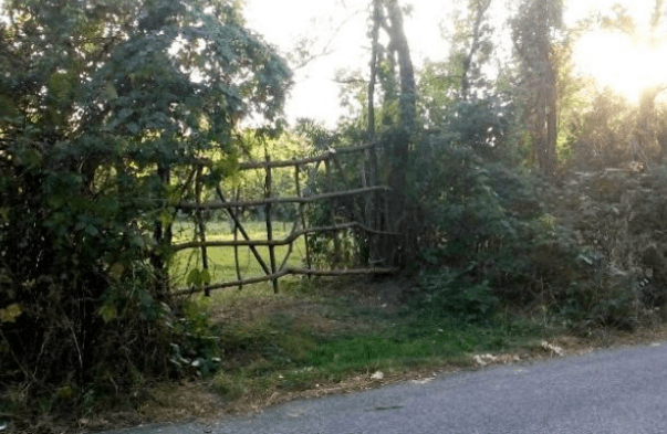 Screenshot_20241022-090341