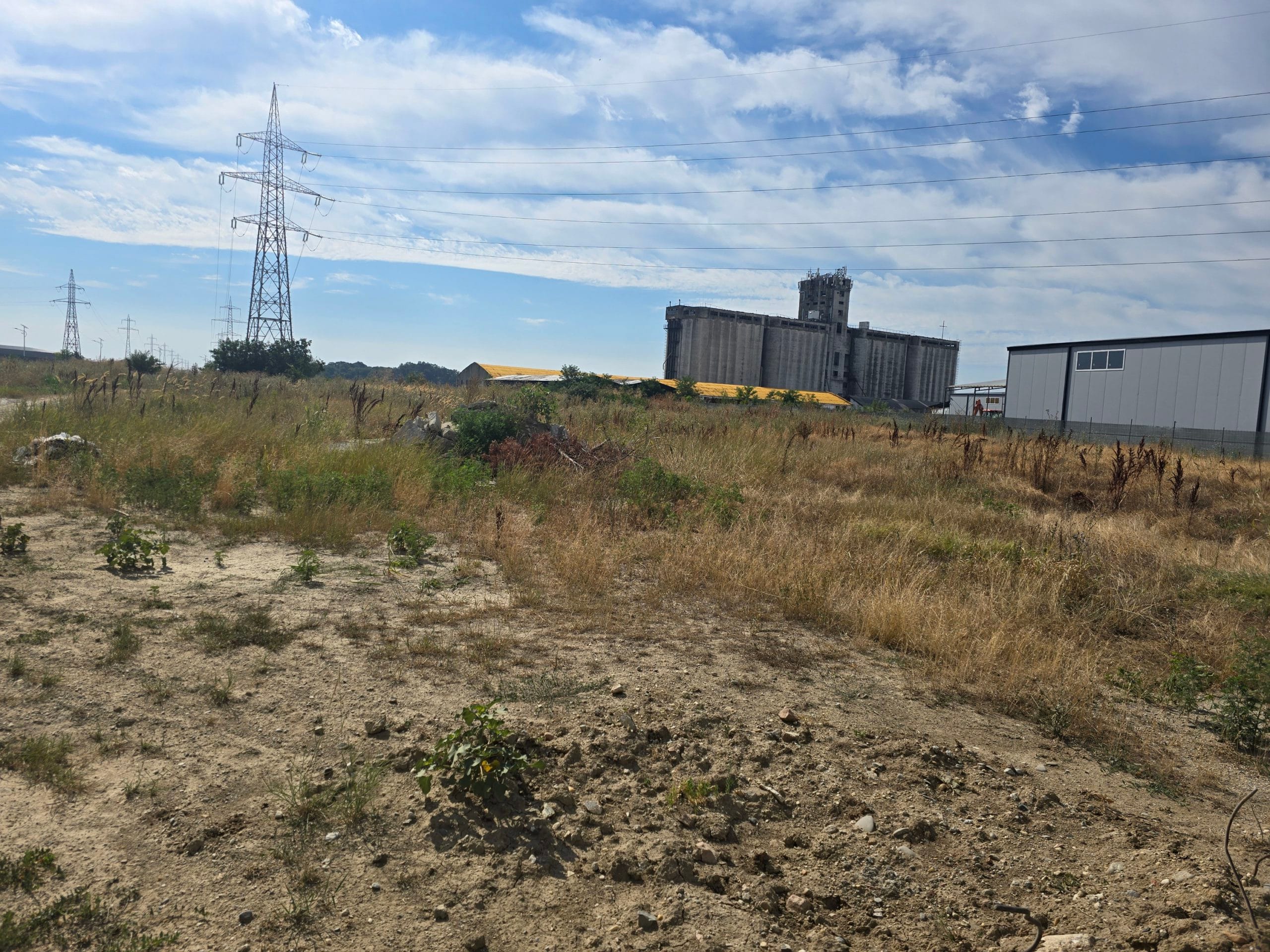 20250806_100732_resized