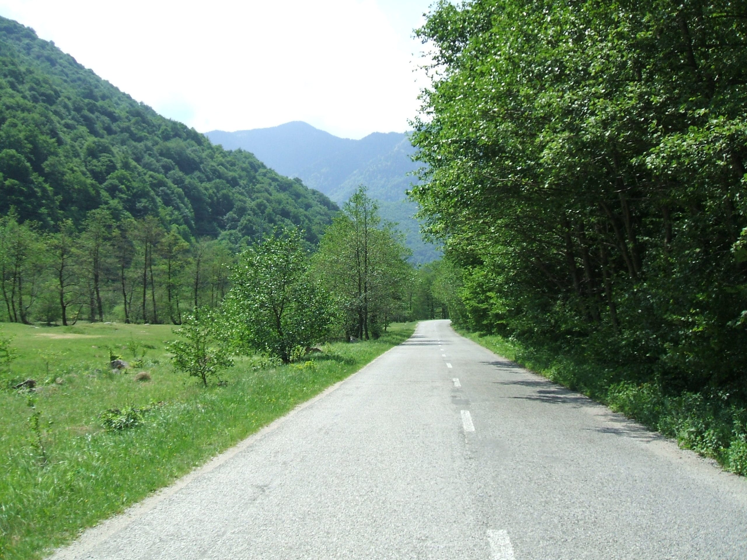 DSCF0144