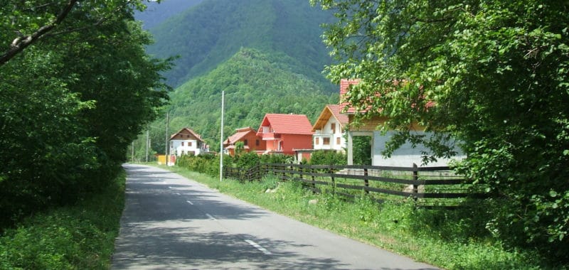 DSCF0175