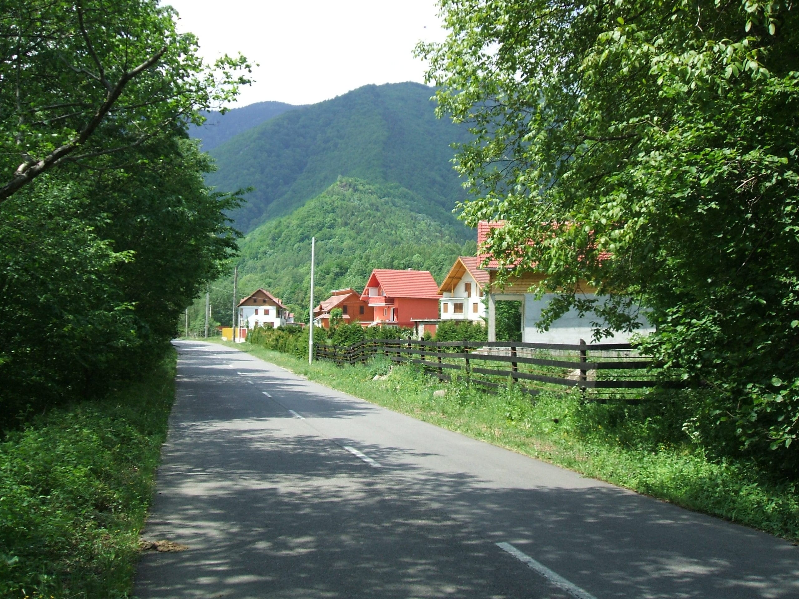DSCF0175