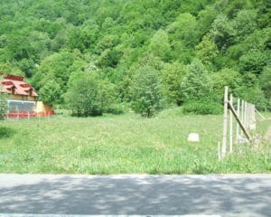 DSCF0200