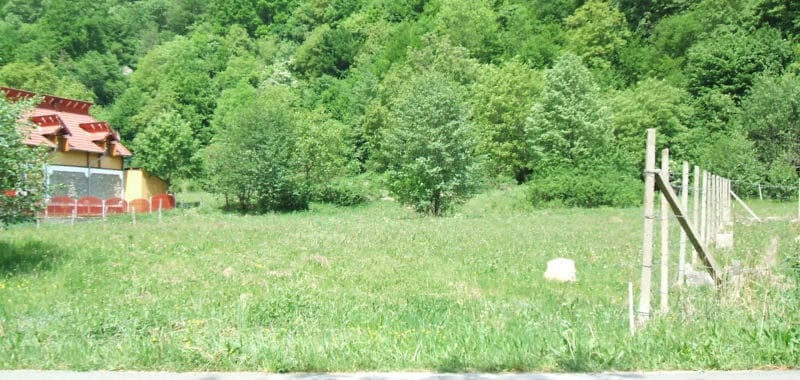 DSCF0200