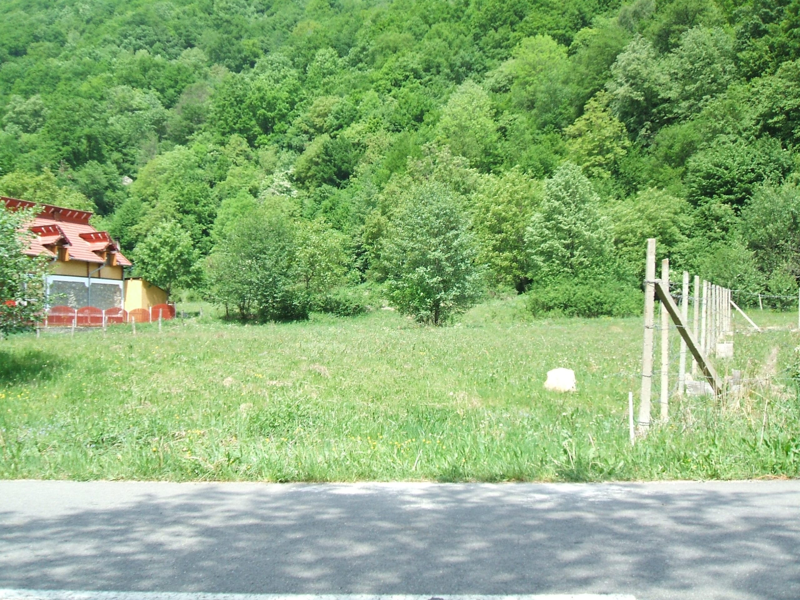 DSCF0200