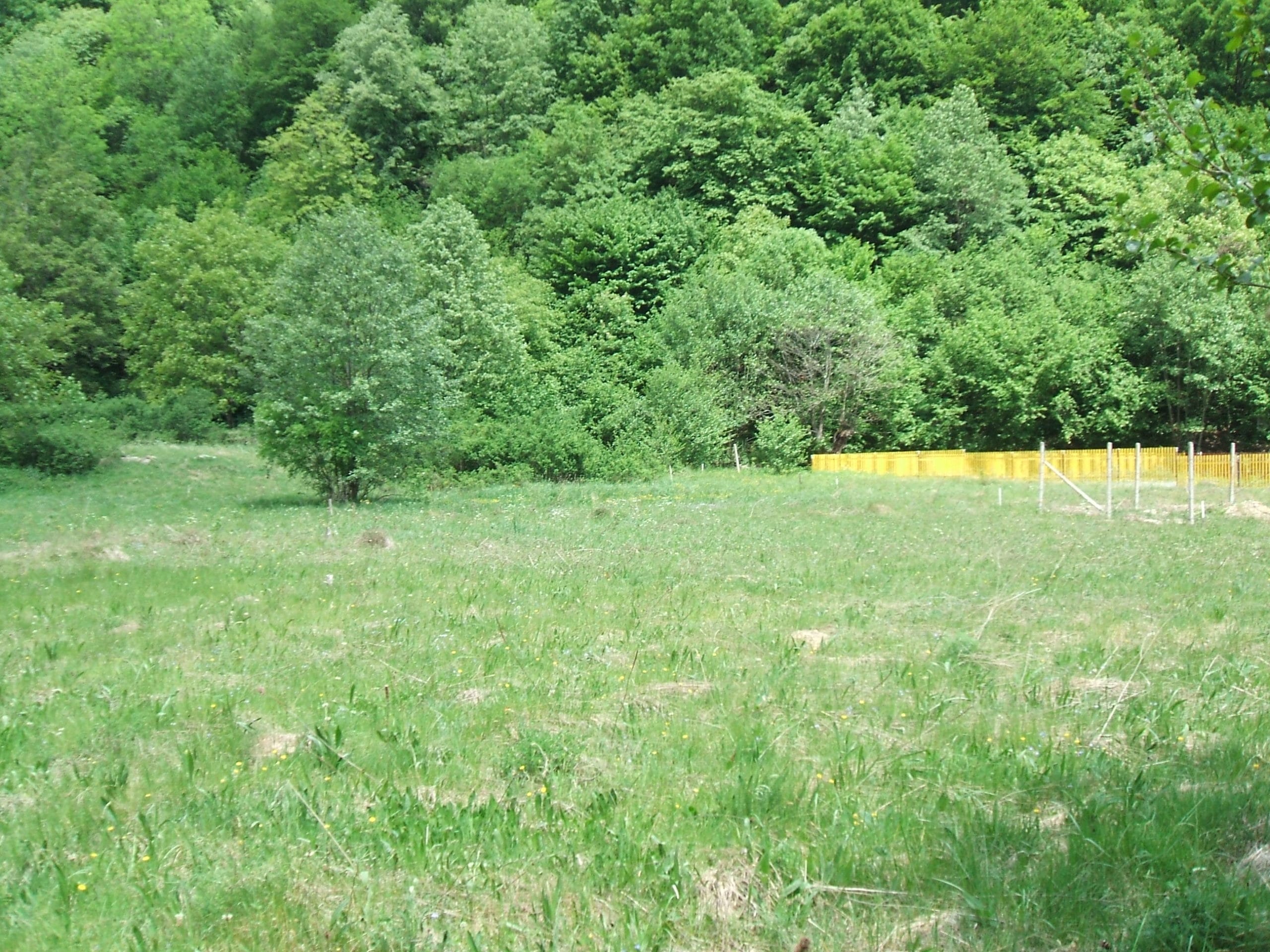 DSCF0214