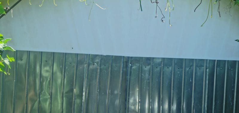 IMG_20250716_114108