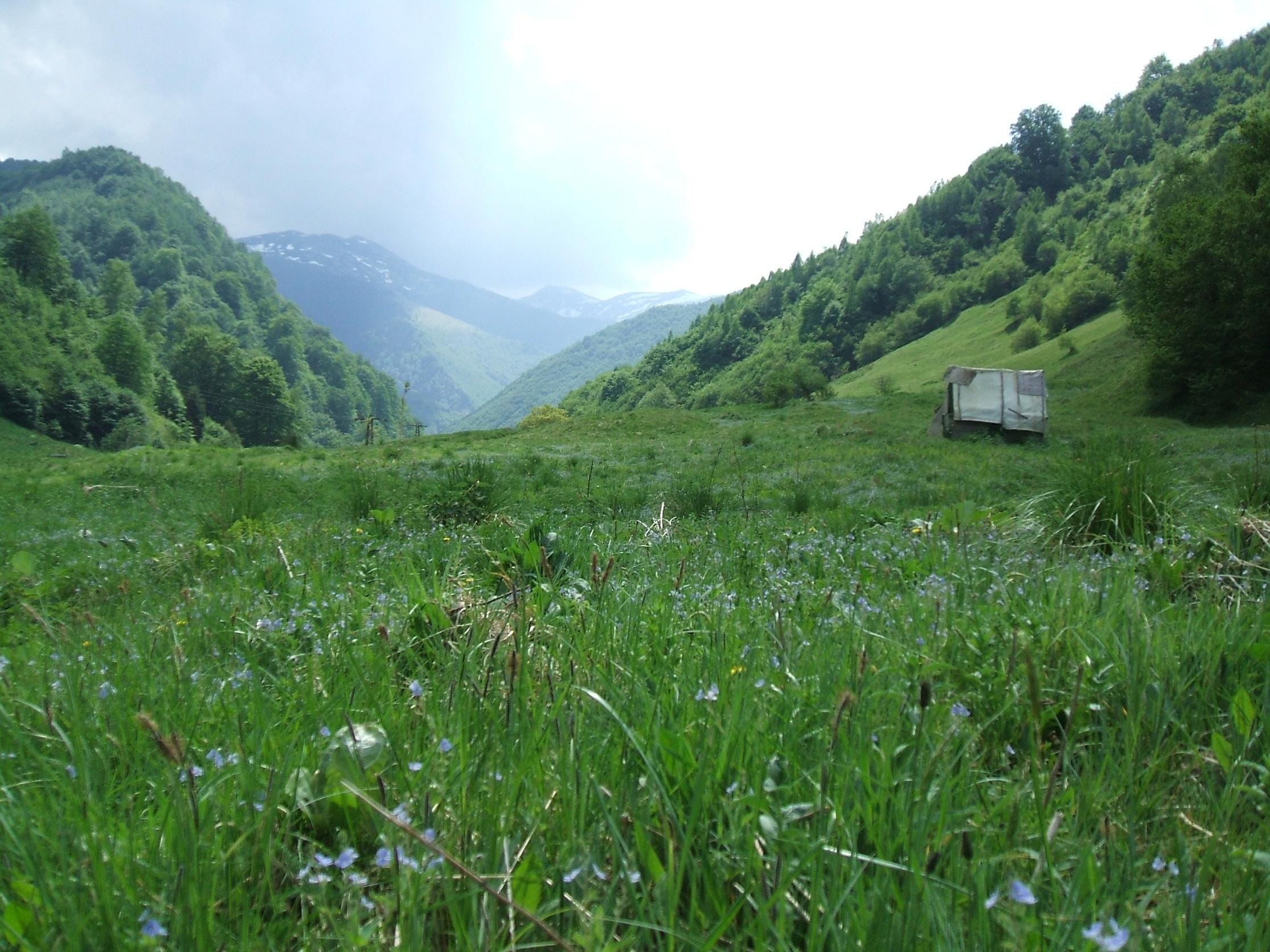 valea-rausorului-retezat