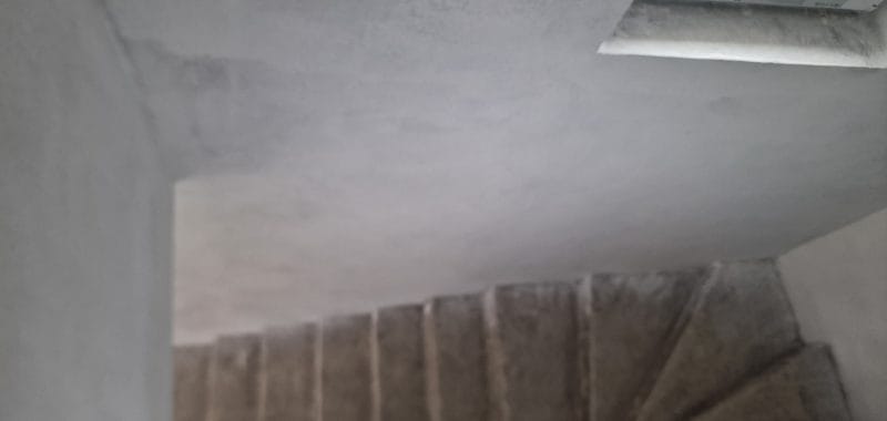 1000024116