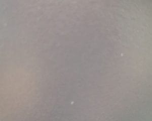 17586196729686386597047409094956