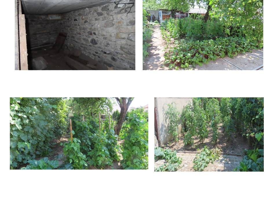 7-buncar-gradina